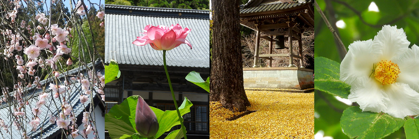 祐善寺の四季